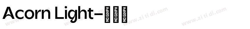 Acorn Light字体转换